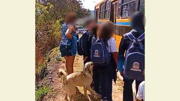 Itabirito: criança desce do escolar e fica pelo caminho por esquecer carteirinha; mãe diz que filha foi expulsa