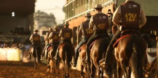 Com prêmios em dinheiro para campeões do Poeirão, Mariana terá a 5ª Semana do Mangalarga Marchador Com prêmios em dinheiro para campeões do Poeirão, Mariana terá a 5ª Semana do Mangalarga Marchador