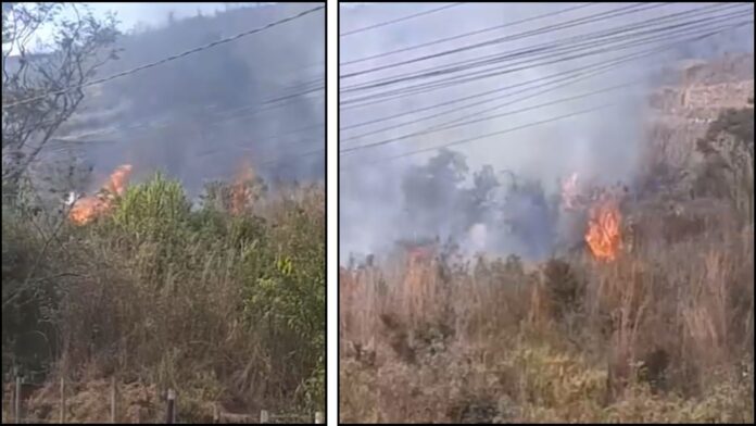 Itabirito: incêndio (insistente) em terreno na Avenida dos Inconfidentes (mais uma vez) mobiliza Brigada