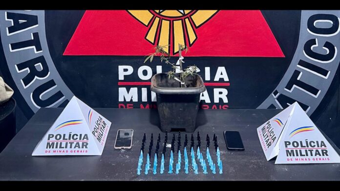 Alto da Cruz, Ouro Preto: traficante é preso com 124 pinos de cocaína, celular roubado e pé de maconha