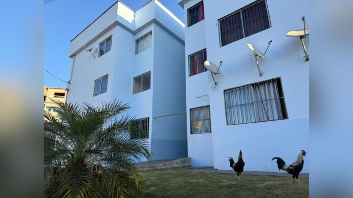 Mariana entrega reformas em 84 apartamentos nos predinhos do Morada do Sol e Santa Clara