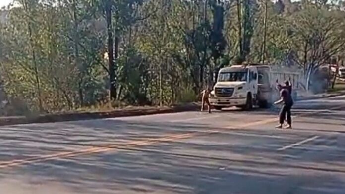 Ribeirão do Eixo, Itabirito: homem 'surta' na BR-040 e é amarrado por populares para própria segurança dele