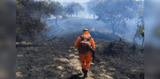 Fogos em homenagem a Nossa Senhora da Aparecida causam incêndio em MG Dia de Nossa Senhora Aparecida: fogos de artifício podem ter causado incêndio em área de vegetação