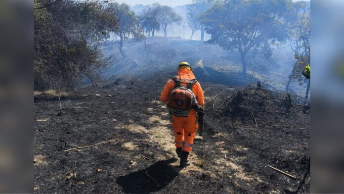 Dia de Nossa Senhora Aparecida: fogos de artifício podem ter causado incêndio em área de vegetação