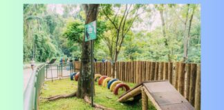 Prefeitura de Itabirito inaugura o ‘ParCão’ no Parque Ecológico Prefeitura de Itabirito realiza 'CãoMinhada' e inaugura o 'ParCão' no Parque Ecológico