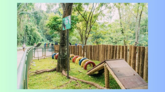 Prefeitura de Itabirito realiza 'CãoMinhada' e inaugura o 'ParCão' no Parque Ecológico 