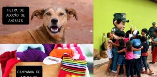 Itabirito: ação da PM de Meio Ambiente terá microchipagem de cães e surpresa para as crianças Itabirito: ação da PM de Meio Ambiente terá microchipagem de cães e surpresa para as crianças