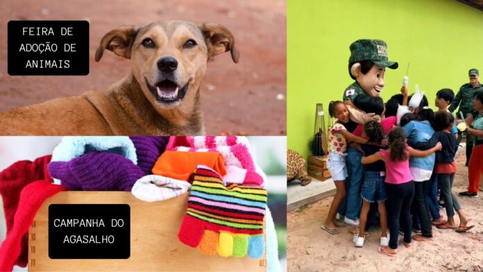 Itabirito: ação da PM de Meio Ambiente terá microchipagem de cães e surpresa para as crianças