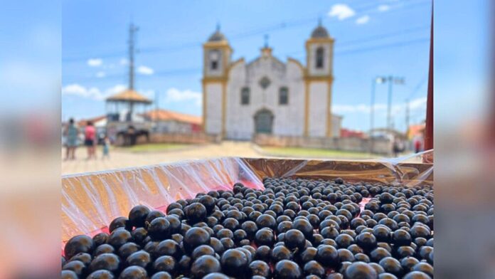 Festa da Jabuticaba de Cachoeira do Campo: shows e oficina de pizza com a fruta para alunos de escolas