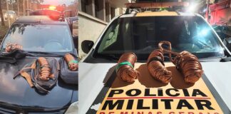 Suspeitos de furto de cobre, trabalhadores da Mina do Pico, que moram em Itabirito, são presos pela PMRv Suspeitos de furto de cobre, trabalhadores da Mina do Pico, que moram em Itabirito, são presos pela PMRv