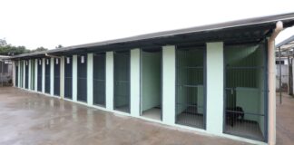 Ouro Preto amplia Centro de Acolhimento de Animais com 28 novas baias Ouro Preto amplia Centro de Acolhimento Transitório de Animais com 28 novas baias