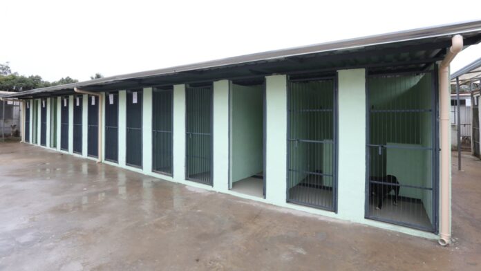 Ouro Preto amplia Centro de Acolhimento Transitório de Animais com 28 novas baias