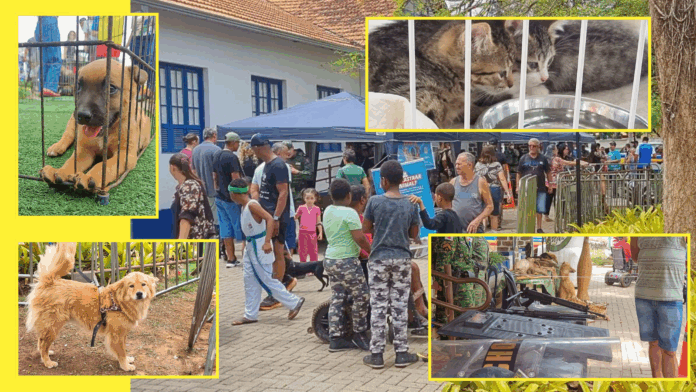 PM de Meio Ambiente promove ação de bem-estar animal e cidadania em Itabirito