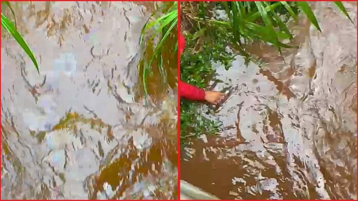 Itabirito: moradores denunciam mancha com forte cheiro de óleo no Córrego Criminoso