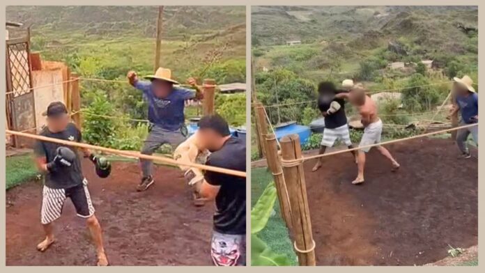 Ouro Preto: PM fecha ringue clandestino de boxe em Antônio Pereira; organizador (com passagens) é preso