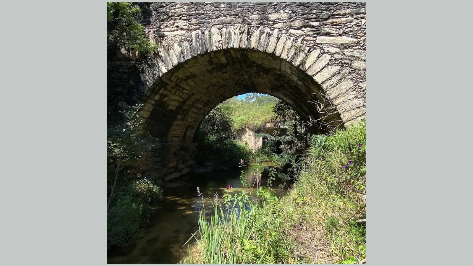 MG-129: natural de Mariana, jovem morre após se afogar próximo à Ponte da Caveira, em Ouro Preto