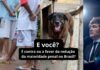 Argentina reduz maioridade penal; morte do cão Orelha reacende pauta no Brasil. O que você acha? Argentina reduz maioridade penal; morte do cão Orelha reacende pauta no Brasil. O que você acha?