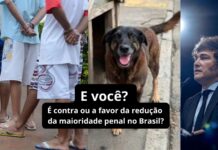 Argentina reduz maioridade penal; morte do cão Orelha reacende pauta no Brasil. O que você acha? Argentina reduz maioridade penal; morte do cão Orelha reacende pauta no Brasil. O que você acha?
