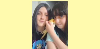 Itabirito: calopsita desaparecida é encontrada em menos de 1 hora após publicação no Radar Geral Itabirito: calopsita desaparecida é encontrada em menos de 1 hora após publicação no Radar Geral