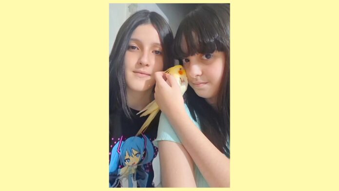 Itabirito: calopsita desaparecida é encontrada em menos de 1 hora após publicação no Radar Geral