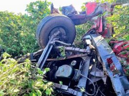 MG: pai e filho morrem após caminhão sair da pista, atingir coqueiro às margens da BR-265 e capotar MG: pai e filho morrem após caminhão sair da pista, atingir coqueiro às margens da BR-265 e capotar