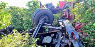 MG: pai e filho morrem após caminhão sair da pista, atingir coqueiro às margens da BR-265 e capotar MG: pai e filho morrem após caminhão sair da pista, atingir coqueiro às margens da BR-265 e capotar