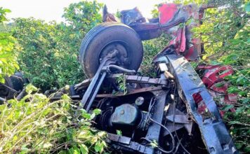 MG: pai e filho morrem após caminhão sair da pista, atingir coqueiro às margens da BR-265 e capotar MG: pai e filho morrem após caminhão sair da pista, atingir coqueiro às margens da BR-265 e capotar