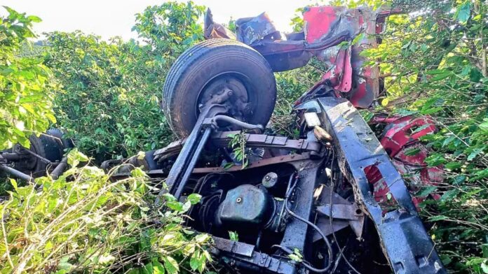 MG: pai e filho morrem após caminhão sair da pista, atingir coqueiro às margens da BR-265 e capotar