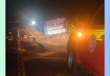 MG: caminhão com cerca de 60 bois tomba e animais provocam 2º acidente MG: caminhão com cerca de 60 bois tomba e animais provocam 2º acidente