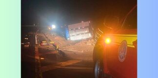 MG: caminhão com cerca de 60 bois tomba e animais provocam 2º acidente MG: caminhão com cerca de 60 bois tomba e animais provocam 2º acidente