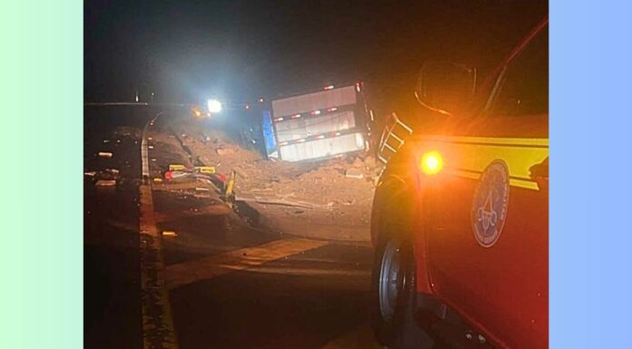 MG: caminhão com cerca de 60 bois tomba e animais provocam 2º acidente MG: caminhão com cerca de 60 bois tomba e animais provocam 2º acidente