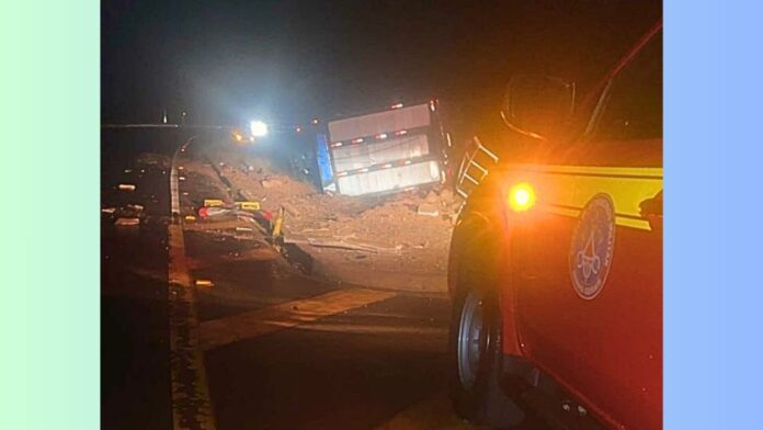 MG: caminhão com cerca de 60 bois tomba e animais provocam 2º acidente