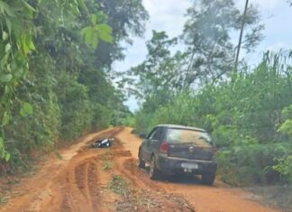 MG: ataque de abelhas deixa um morto e três feridos MG: ataque de abelhas deixa um morto e três feridos