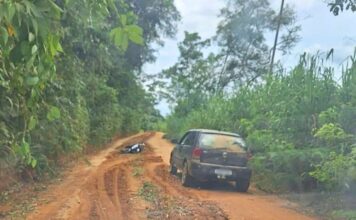 MG: ataque de abelhas deixa um morto e três feridos MG: ataque de abelhas deixa um morto e três feridos