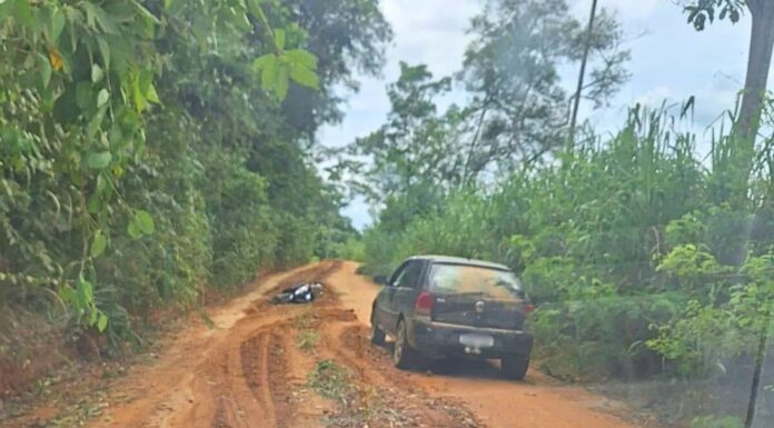 MG: ataque de abelhas deixa um morto e três feridos MG: ataque de abelhas deixa um morto e três feridos