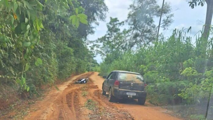 MG: ataque de abelhas deixa um morto e três feridos
