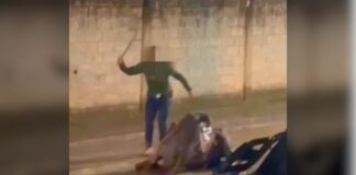 Mariana: homem é preso após agredir cavalo em Monsenhor Horta; VEJA VÍDEO Mariana: homem é preso após agredir cavalo em Monsenhor Horta; VEJA VÍDEO