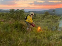 Itabirito, Ouro Preto, Mariana, MG: Parque da Serra do Gandarela inicia ações para prevenção de incêndios Itabirito, Ouro Preto, Mariana, MG: Parque da Serra do Gandarela inicia ações para prevenção de incêndios