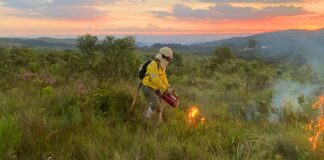 Itabirito, Ouro Preto, Mariana, MG: Parque da Serra do Gandarela inicia ações para prevenção de incêndios Itabirito, Ouro Preto, Mariana, MG: Parque da Serra do Gandarela inicia ações para prevenção de incêndios