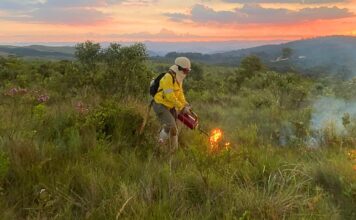 Itabirito, Ouro Preto, Mariana, MG: Parque da Serra do Gandarela inicia ações para prevenção de incêndios Itabirito, Ouro Preto, Mariana, MG: Parque da Serra do Gandarela inicia ações para prevenção de incêndios