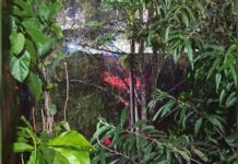 Incêndio no Centro de Itabirito mobiliza a Brigada e assusta moradores Incêndio no Centro de Itabirito mobiliza a Brigada e assusta moradores