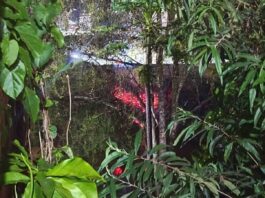 Incêndio no Centro de Itabirito mobiliza a Brigada e assusta moradores Incêndio no Centro de Itabirito mobiliza a Brigada e assusta moradores