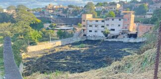 Itabirito: homem coloca fogo em terreno e acaba preso pela GCM; ‘Era apenas mato’ Itabirito: homem coloca fogo em terreno e acaba preso pela GCM; 'Era apenas mato'