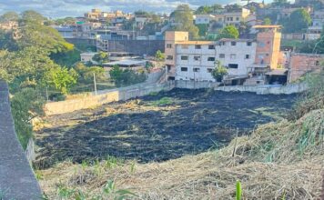 Itabirito: homem coloca fogo em terreno e acaba preso pela GCM; ‘Era apenas mato’ Itabirito: homem coloca fogo em terreno e acaba preso pela GCM; 'Era apenas mato'