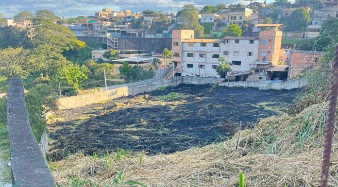 Itabirito: homem coloca fogo em terreno e acaba preso pela GCM; ‘Era apenas mato’ Itabirito: homem coloca fogo em terreno e acaba preso pela GCM; 'Era apenas mato'