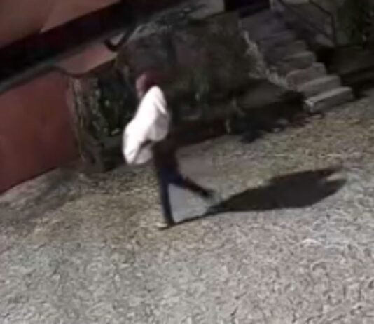 Ouro Preto: homem arromba casa no Alto da Cruz e furta diversos objetos; VEJA VÍDEO Ouro Preto: homem arromba casa no Alto da Cruz e furta diversos objetos; VEJA VÍDEO
