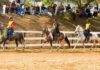 Mariana recebe 6ª Semana do Cavalo Mangalarga Marchador neste fim de semana Mariana recebe 6ª Semana do Cavalo Mangalarga Marchador neste fim de semana