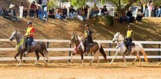 Mariana recebe 6ª Semana do Cavalo Mangalarga Marchador neste fim de semana Mariana recebe 6ª Semana do Cavalo Mangalarga Marchador neste fim de semana