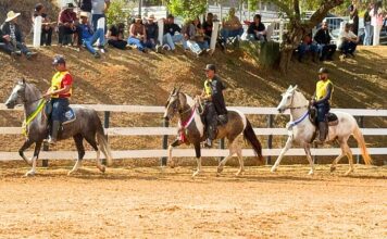 Mariana recebe 6ª Semana do Cavalo Mangalarga Marchador neste fim de semana Mariana recebe 6ª Semana do Cavalo Mangalarga Marchador neste fim de semana