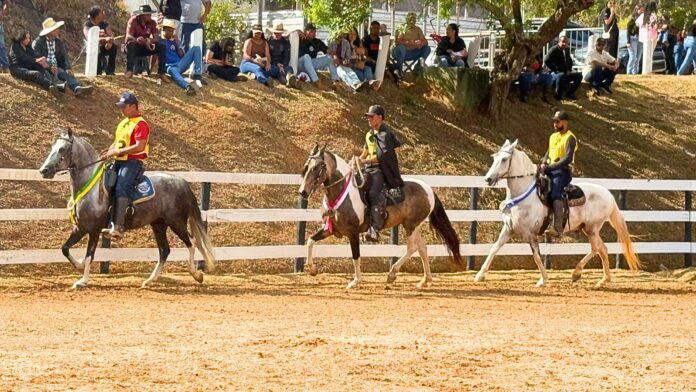 Mariana recebe 6ª Semana do Cavalo Mangalarga Marchador neste fim de semana